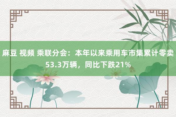 麻豆 视频 乘联分会：本年以来乘用车市集累计零卖53.3万辆，同比下跌21%