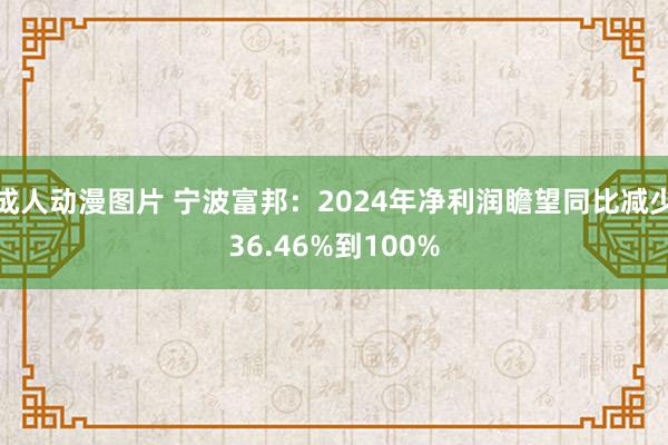 成人动漫图片 宁波富邦：2024年净利润瞻望同比减少36.46%到100%