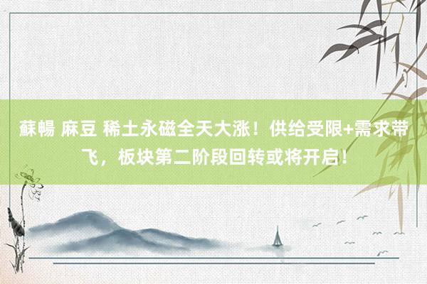 蘇暢 麻豆 稀土永磁全天大涨！供给受限+需求带飞，板块第二阶段回转或将开启！