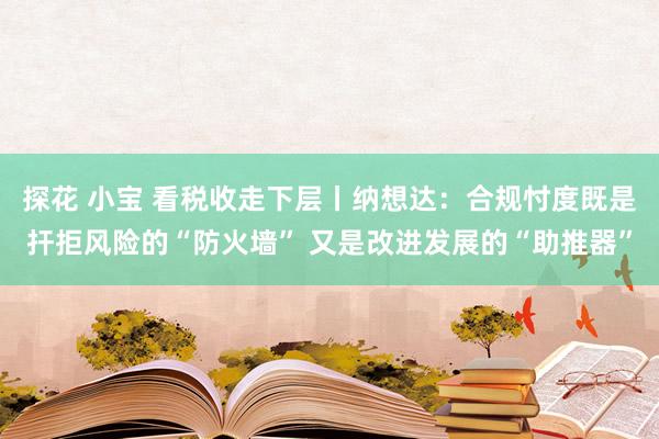 探花 小宝 看税收走下层丨纳想达：合规忖度既是扞拒风险的“防火墙” 又是改进发展的“助推器”