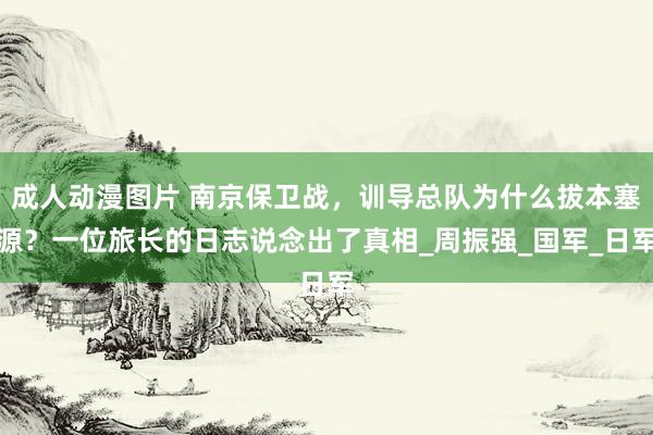 成人动漫图片 南京保卫战，训导总队为什么拔本塞源？一位旅长的日志说念出了真相_周振强_国军_日军