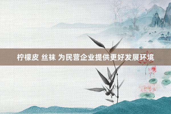 柠檬皮 丝袜 为民营企业提供更好发展环境
