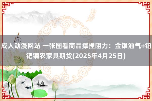 成人动漫网站 一张图看商品撑捏阻力：金银油气+铂钯铜农家具期货(2025年4月25日)