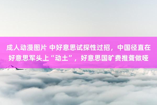 成人动漫图片 中好意思试探性过招，中国径直在好意思军头上“动土”，好意思国旷费推聋做哑