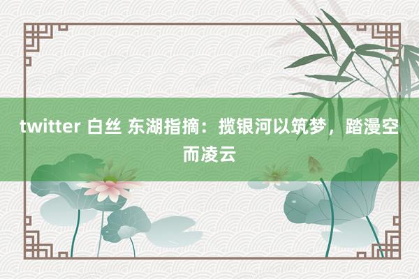 twitter 白丝 东湖指摘：揽银河以筑梦，踏漫空而凌云