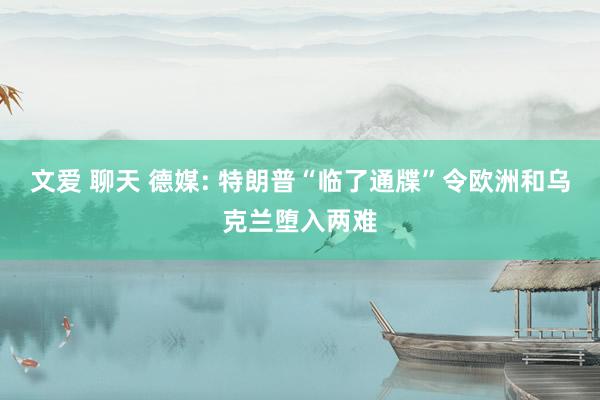 文爱 聊天 德媒: 特朗普“临了通牒”令欧洲和乌克兰堕入两难