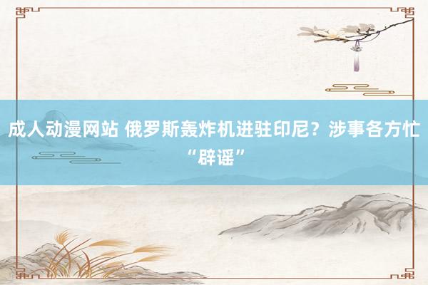 成人动漫网站 俄罗斯轰炸机进驻印尼？涉事各方忙“辟谣”