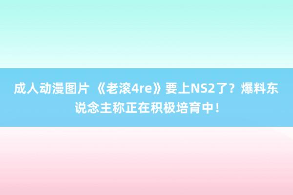 成人动漫图片 《老滚4re》要上NS2了？爆料东说念主称正在积极培育中！